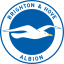Брайтон энд Хоув Albion